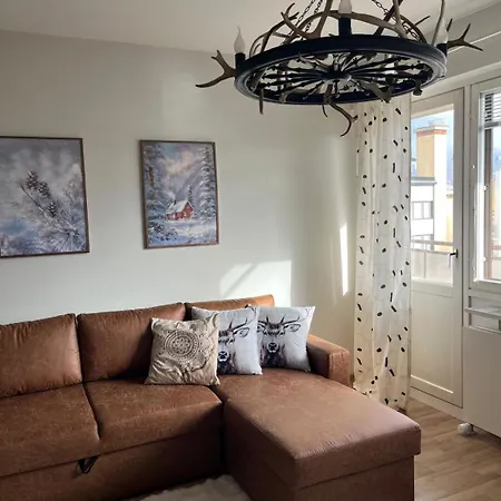 A Spacious, Modern And Bright In The Center * Rovaniemi